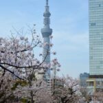 東京墨田区の錦糸公園で休日レジャー!巨大アスレチックに大興奮