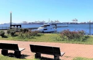 お台場にある青海南ふ頭公園で子供たちと凧揚げに挑戦!