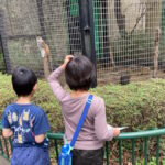 【終日レジャーOK】千葉市動物公園で子供達が大喜び!