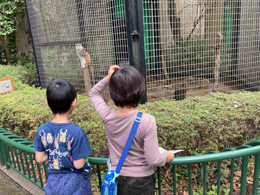 【終日レジャーOK】千葉市動物公園で子供達が大喜び！