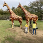 市川市動植物園で動物とふれあい&ミニ鉄道で休日レジャー