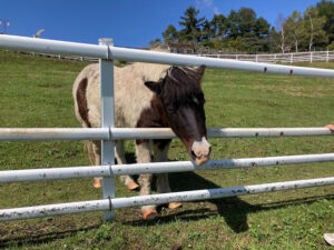山梨県にある避暑地「清里」で2泊3日のファミリーレジャーを満喫！