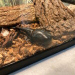 東京都足立区にある格安レジャースポット「生物園」とは？