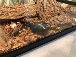 東京都足立区にある格安レジャースポット「生物園」とは？