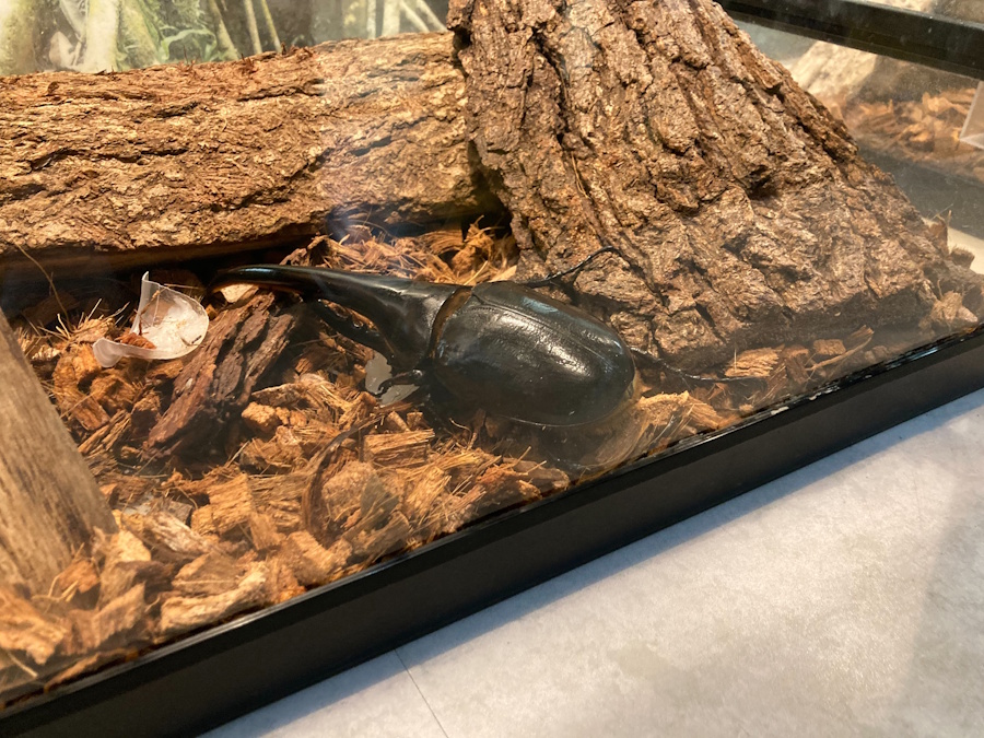 東京都足立区にある格安レジャースポット「生物園」とは？