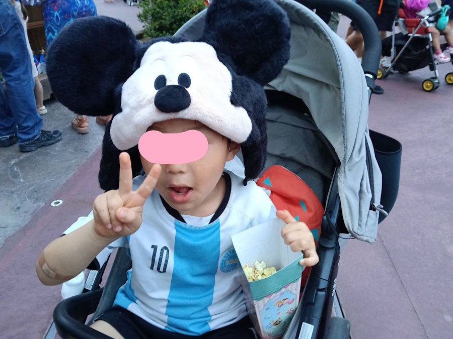 首都圏ウィークデーパスポートで満喫!子連れで東京ディズニーランドレポ