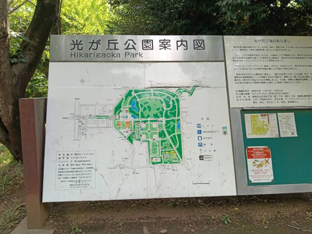 丸源ラーメン 練馬光が丘店、光が丘公園の写真 10