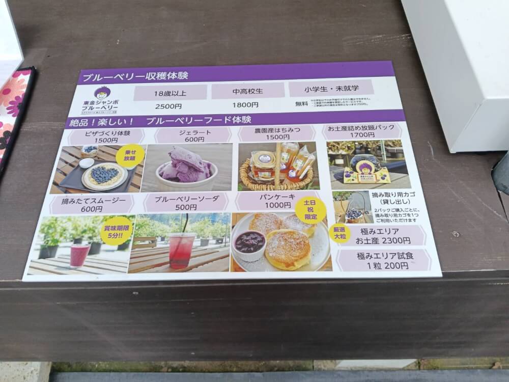 関東最大級　東金ジャンボブルーベリーの写真 1