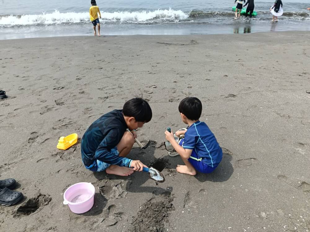千葉県の富津海水浴場の写真 11