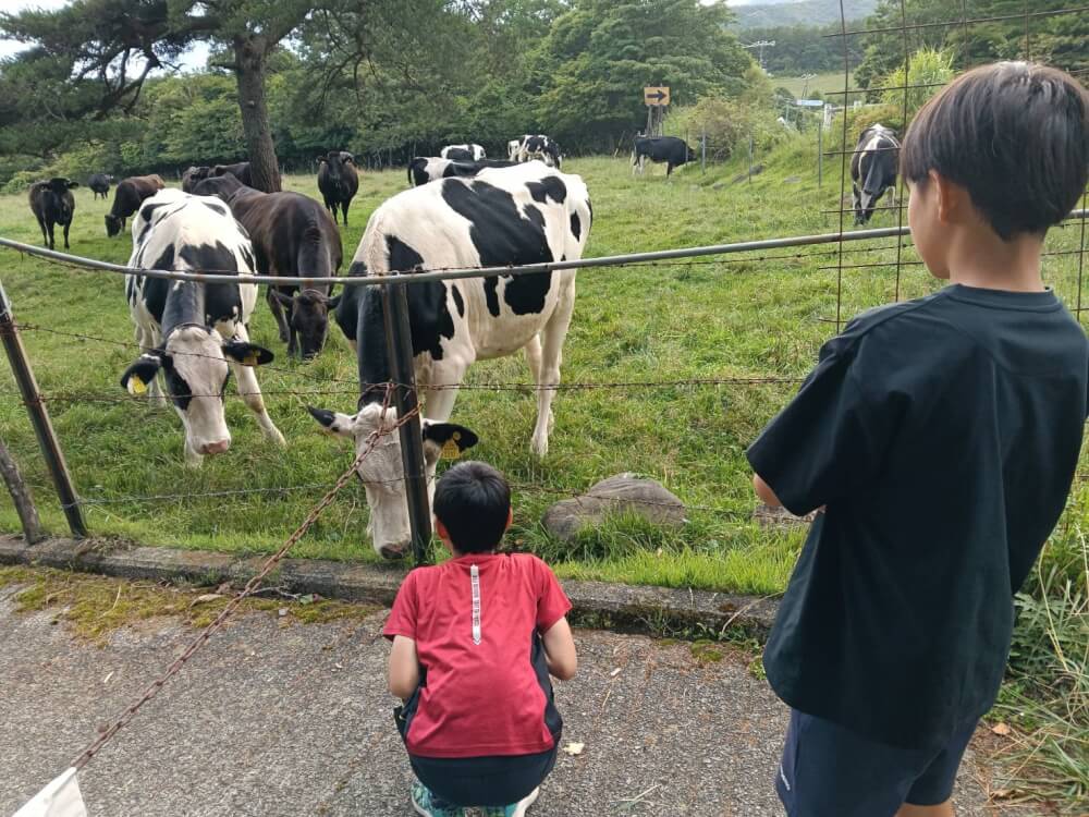 清泉寮の写真 15