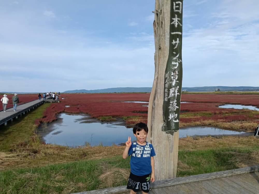 北海道網走市周辺の観光施設、網走監獄、北海道立オホーツク公園能取湖のサンゴ草の写真 3