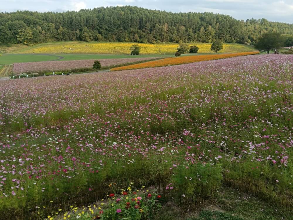 北海道のサロマ湖周辺へ観光の写真 3
